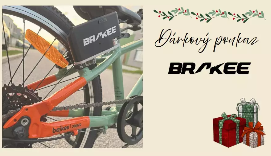 Vzor vanocniho poukazu